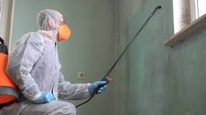 Mold Odor Removal Services in Newkirk, OK